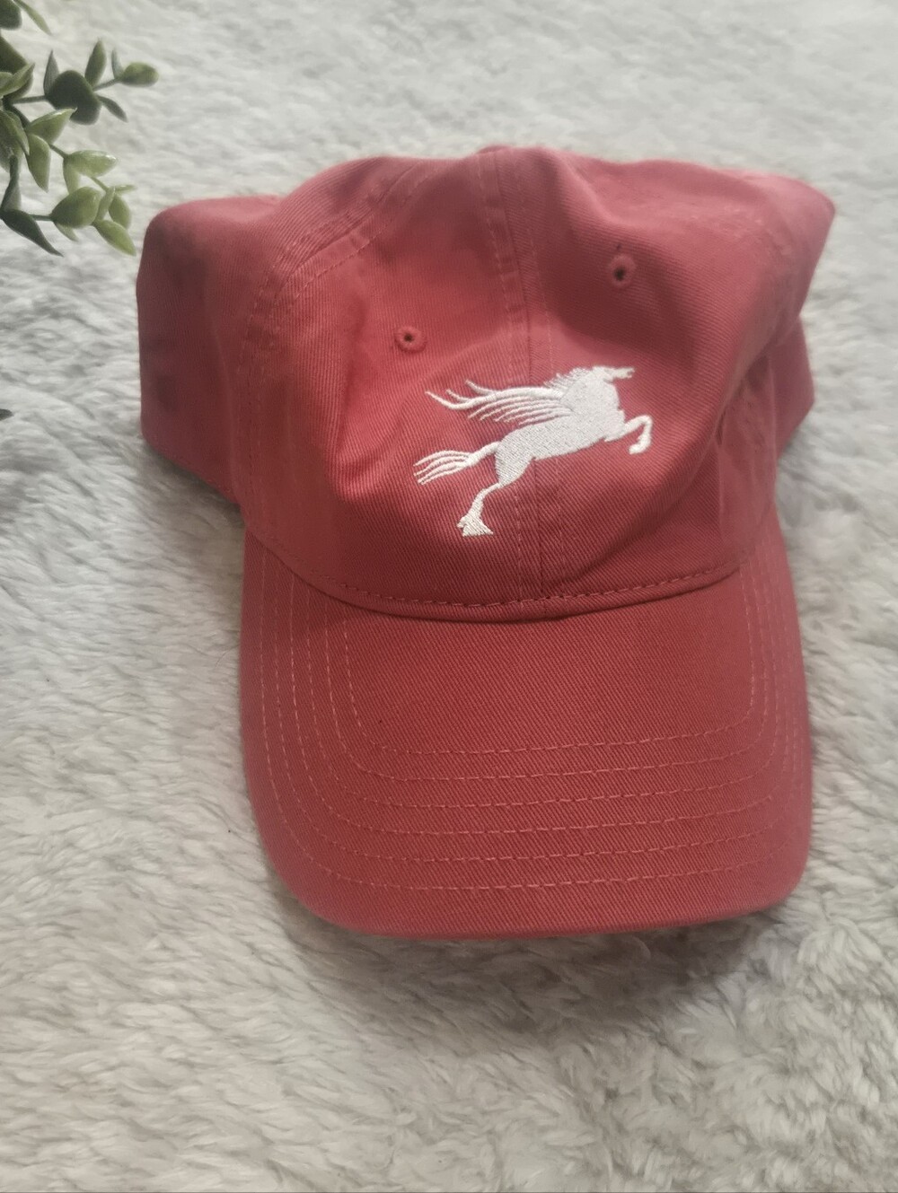 Pegasus Coffee Red Everyday Casual Gorpcore PNW Cotton Twill Dad Hat